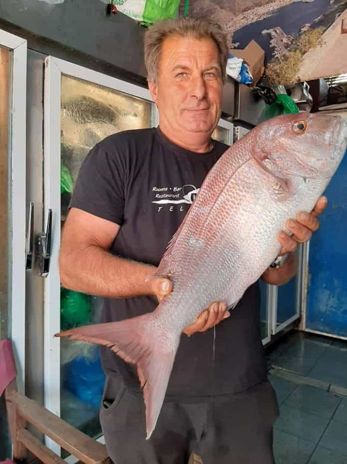 μιχας κορων δυο