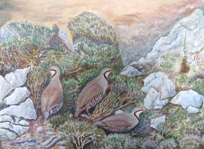 κυνηγη καρα περ