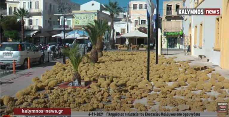 Πλημμύρισε η πλατεία του Επαρχείου Καλύμνου από εξαιρετικής ποιότητας σφουγγάρια (video)