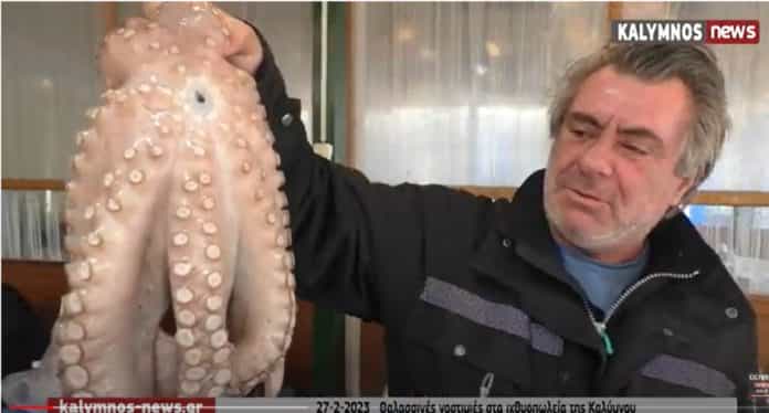 χταποδι ενα