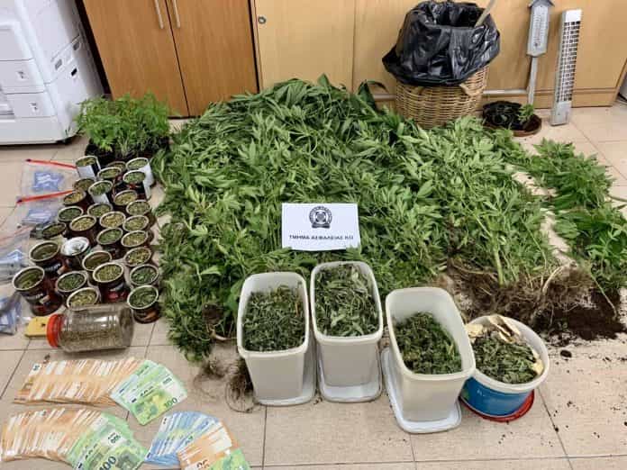 NARKOTIKA-KALLIERGEIA-KOS-F1