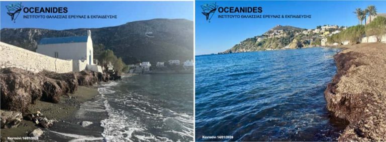 Καντούνι Καλύμνου: Όταν η φύση “μιλά” – Η επιστημονική διάσταση πίσω από τα φύκια στην παραλία.
