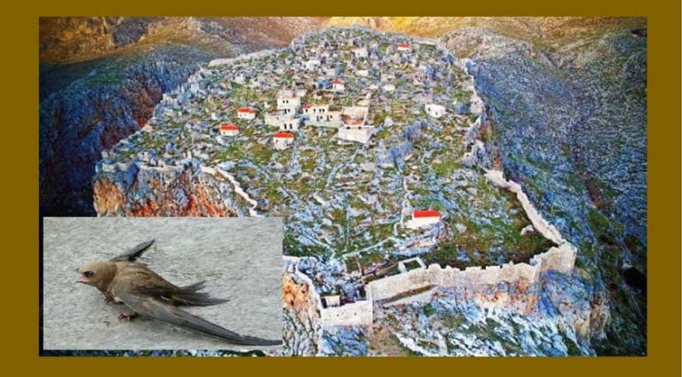 Ψαρεύοντας “αναμοπάες” από τις καστροπολεμίστρες του Κάστρου Χώρας Καλύμνου-Γράφει ο Γιάννης Χειλάς*