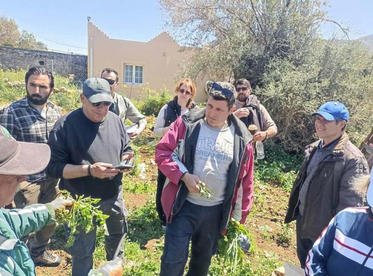 Βοτανικός περίπατος στο Βαθύ: Μια βιωματική επιστροφή στη γνώση της φύσης από την Ενωμένη Ρωμηοσύνη Καλύμνου