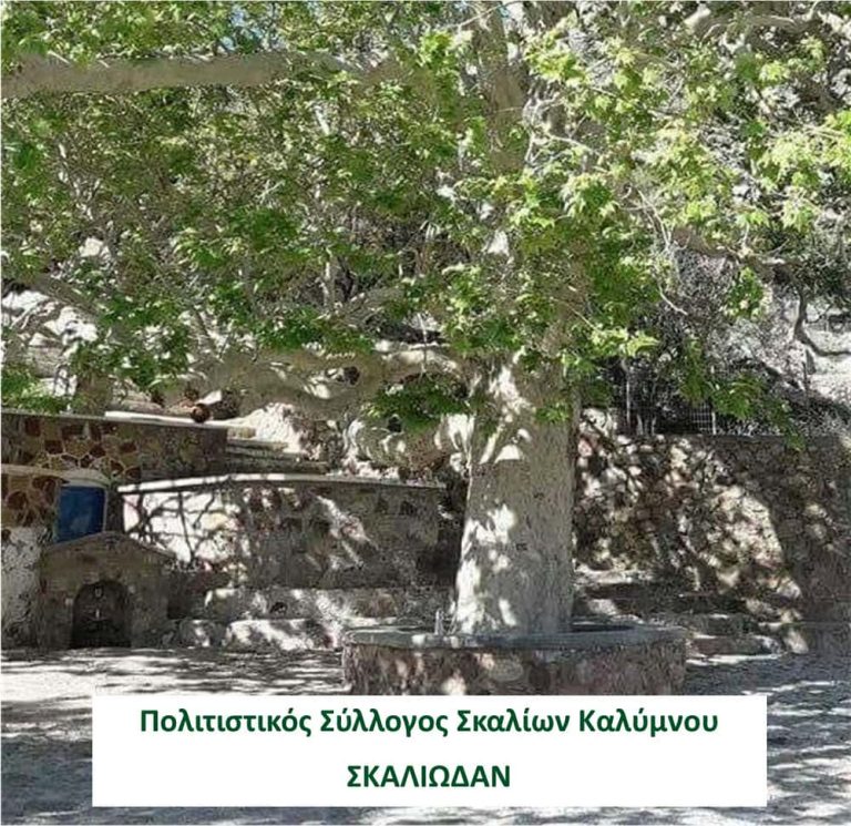 Γενική Συνέλευση και Εκλογές στον Πολιτιστικό Σύλλογο Σκαλίων Καλύμνου