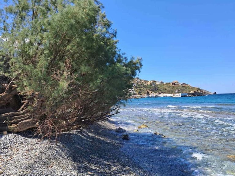 Επικίνδυνη κλίση αλμύρας στην παραλία στις Μυρτιές – Απαγορευτική η διέλευση, έκκληση για άμεση παρέμβαση (video)